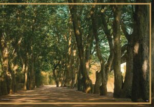 0007 scaled e1659994067927