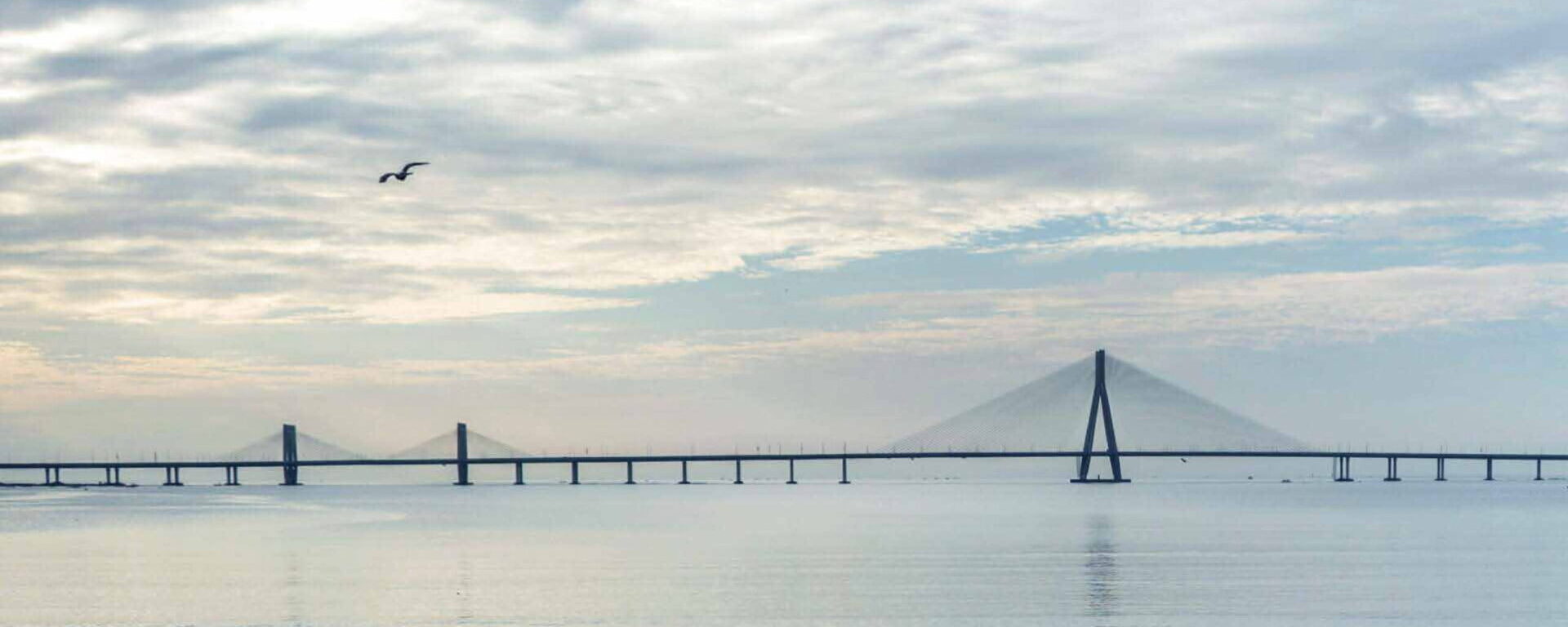 Akanksha Presenter (Sugee)